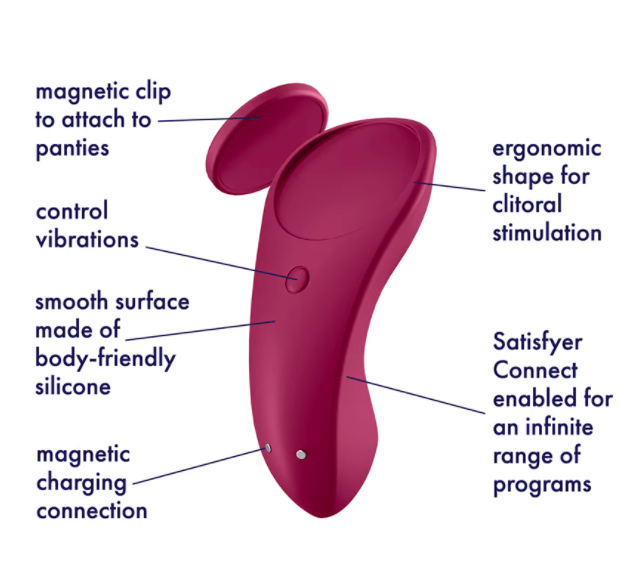 Satisfyer Sexy Secret Panty Vibrator